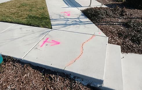 Cracked concrete sidewalk with pink markings for repairs and landscaping adjustments.